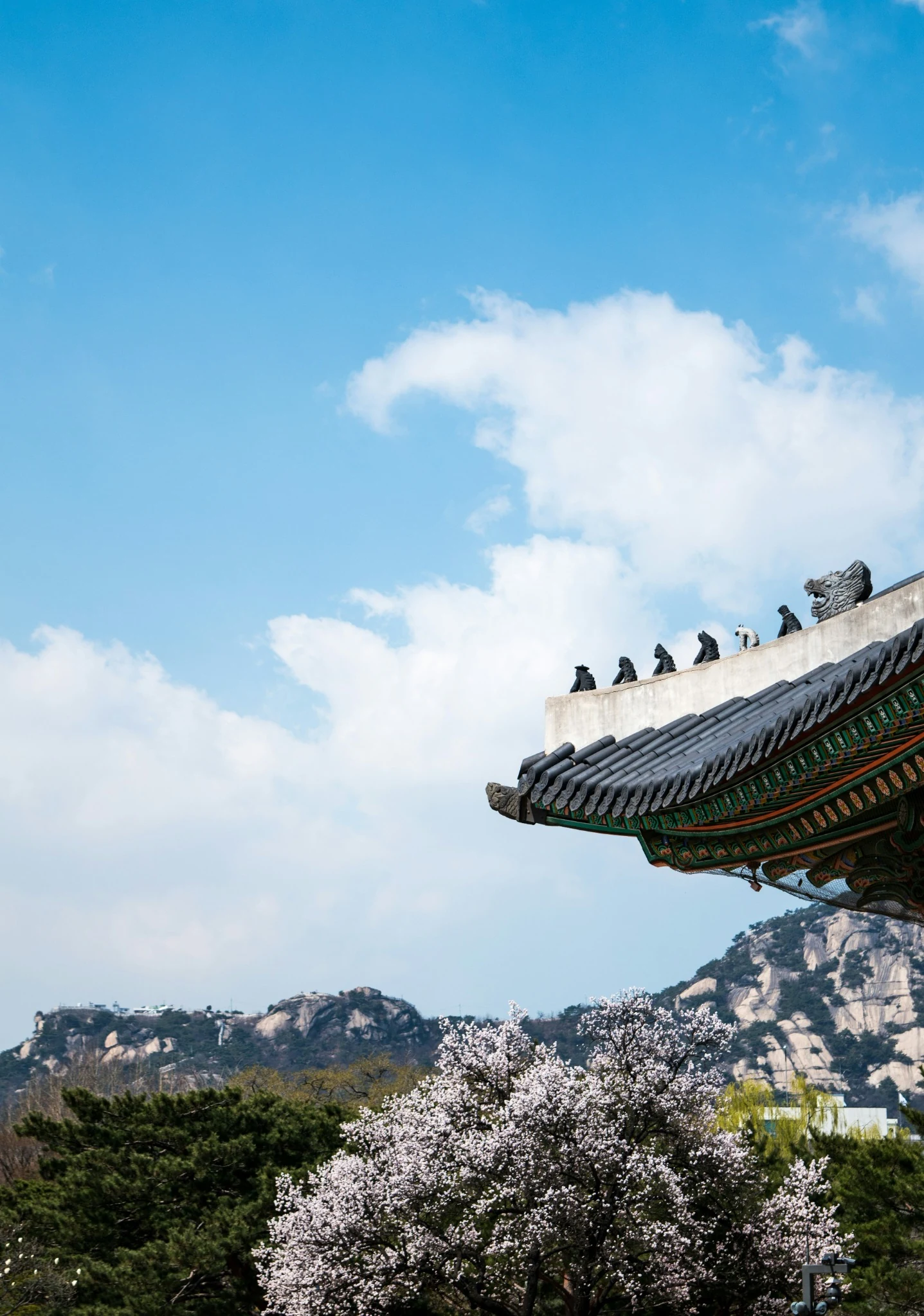 Korean roof and mountain