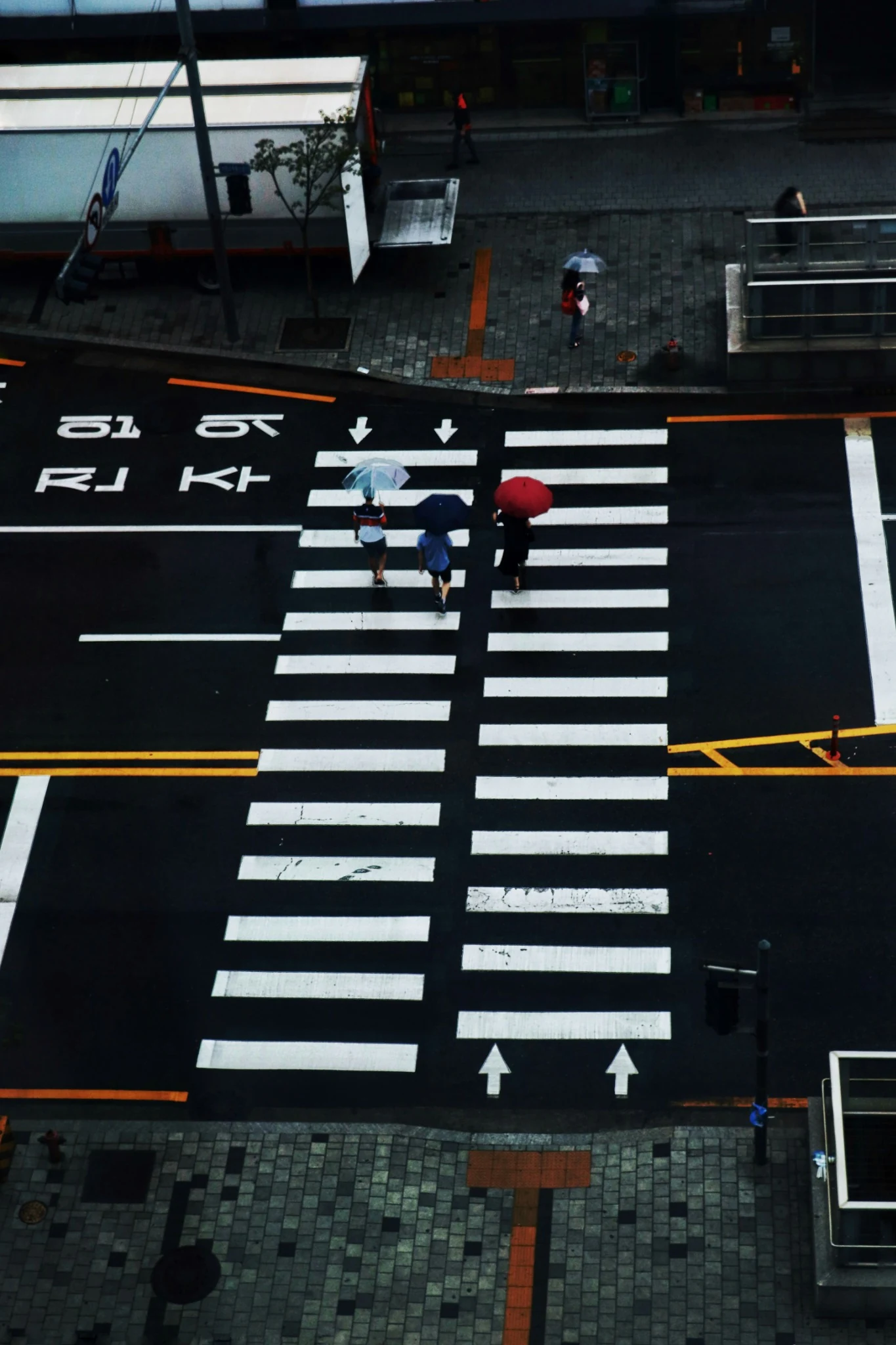 Rainy Seoul crosswalk