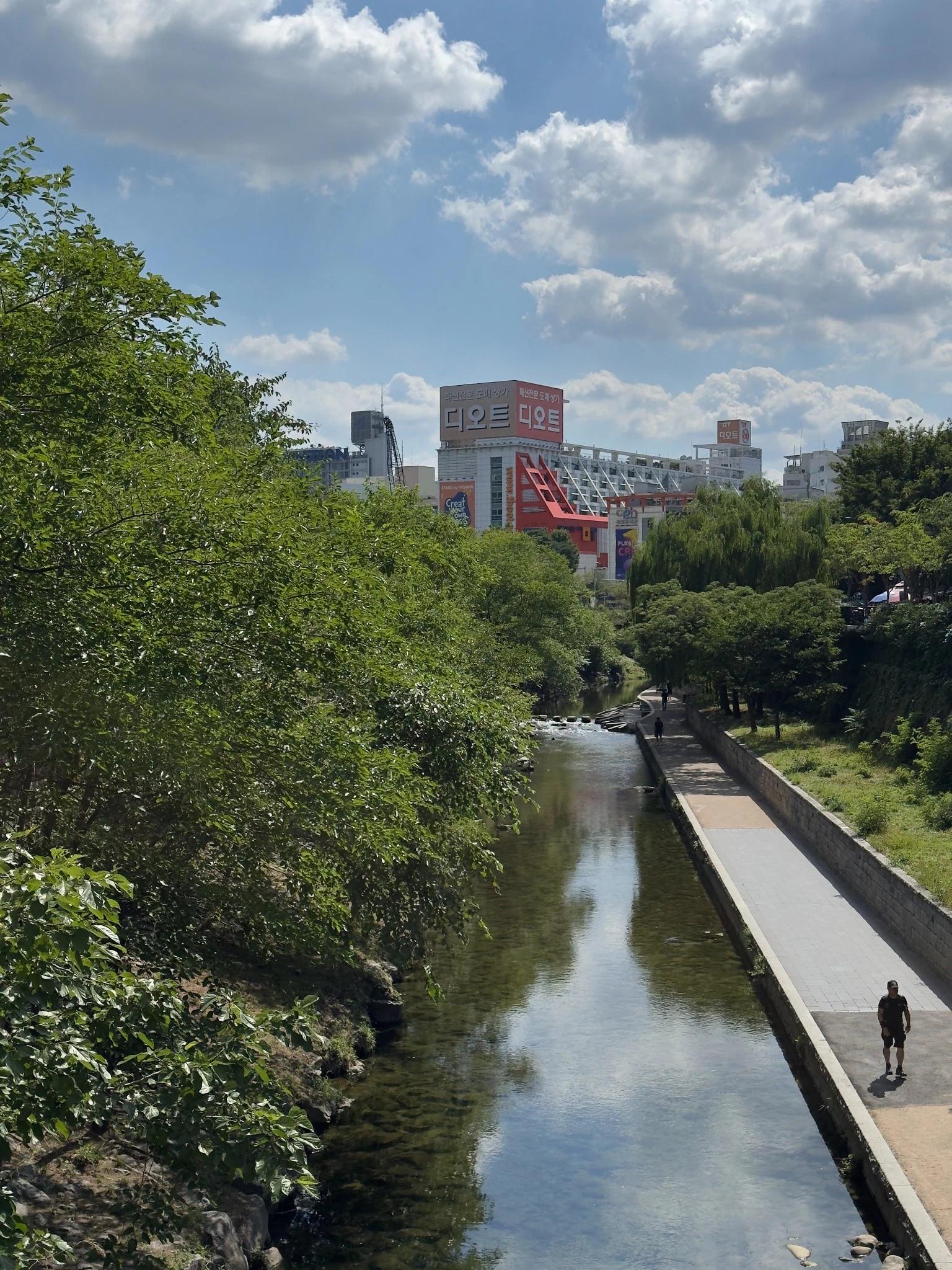 Urban stream in Seoul